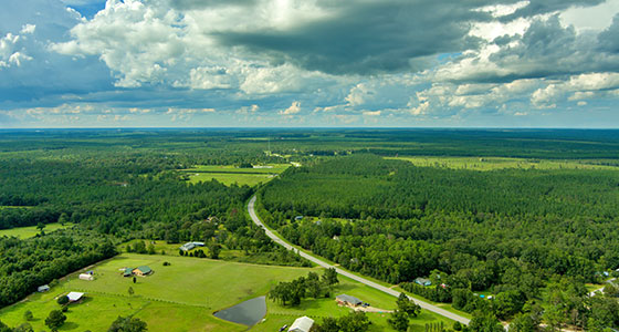 Elberta, AL Real Estate & Homes for Sale